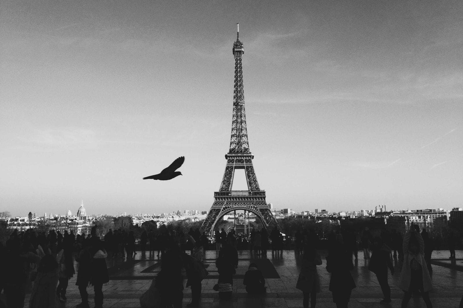 Une arête taillée à la main sur un ciel gris